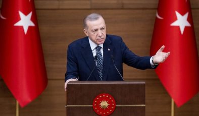 Erdoğan: Bazı ülkeler haydutların sığınağı haline dönüşmüştür